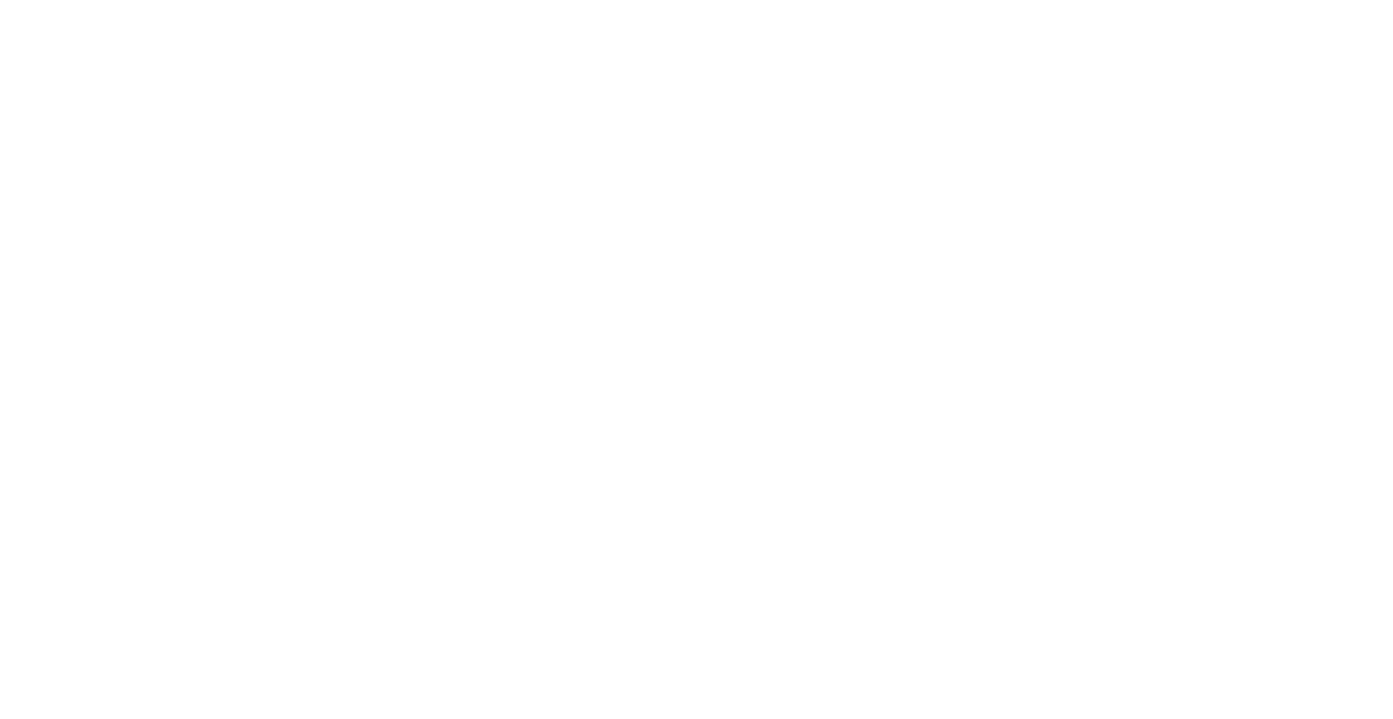 Blue Logic Capital Logo