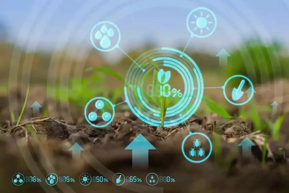 plant 5 Food tech precision agriculture